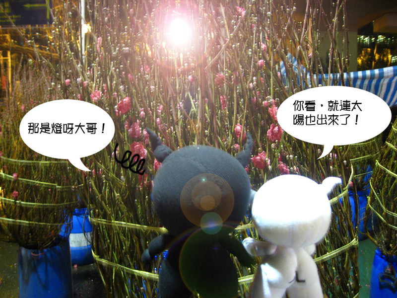 檔案名稱:  4.jpg
查看次數: 143048
檔案大小: 306.9 KB