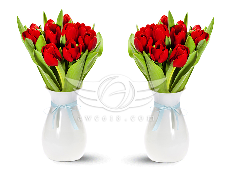 檔案名稱:  Mother's day x2.jpg
查看次數: 23912
檔案大小: 233.6 KB